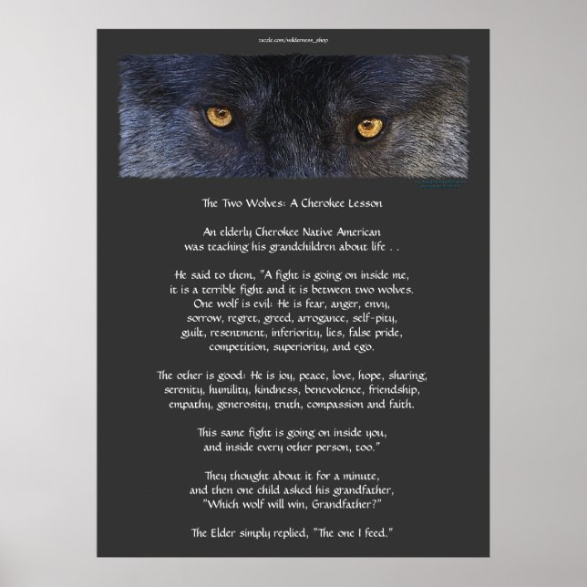 TWO WOLVES CHEROKEE TALE Art Poster (Front)