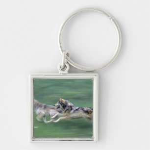 Two wolves in mountain meadow key ring