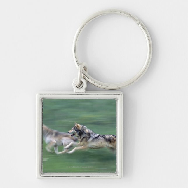 Two wolves in mountain meadow key ring (Front)