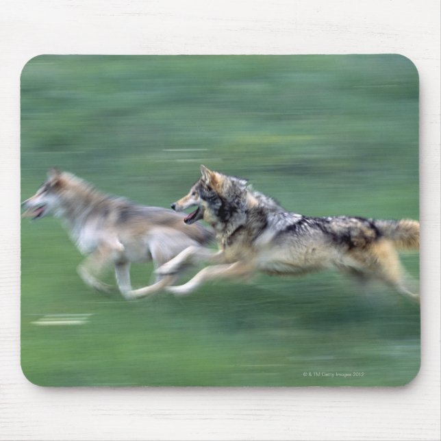 Two wolves in mountain meadow mouse pad (Front)