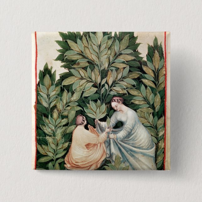 Two women picking sage, from 'Tacuinum 15 Cm Square Badge (Front)