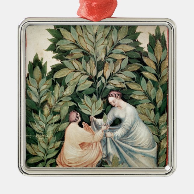 Two women picking sage, from 'Tacuinum Metal Tree Decoration (Front)