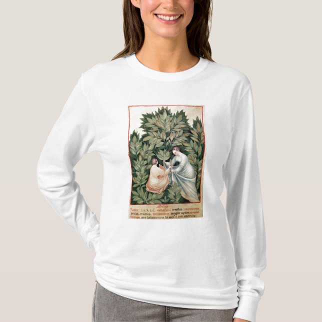 Two women picking sage, from 'Tacuinum T-Shirt (Front)