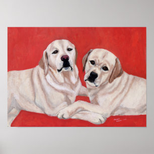 Two Yellow Labradors Artwork Poster