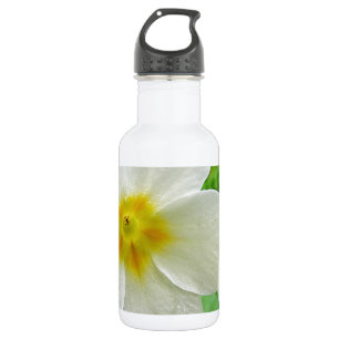 Two yellow primeroses 532 ml water bottle