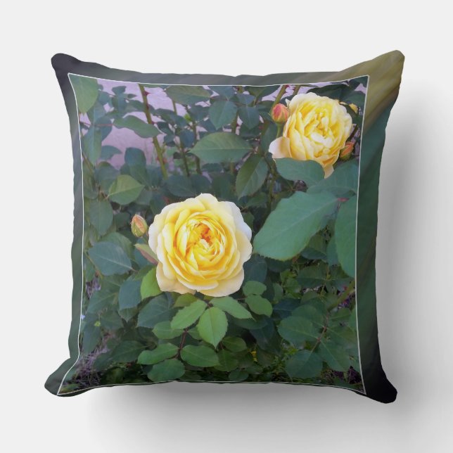 two yellow roses cushion (Front)