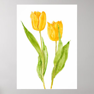 two yellow tulips watercolor poster