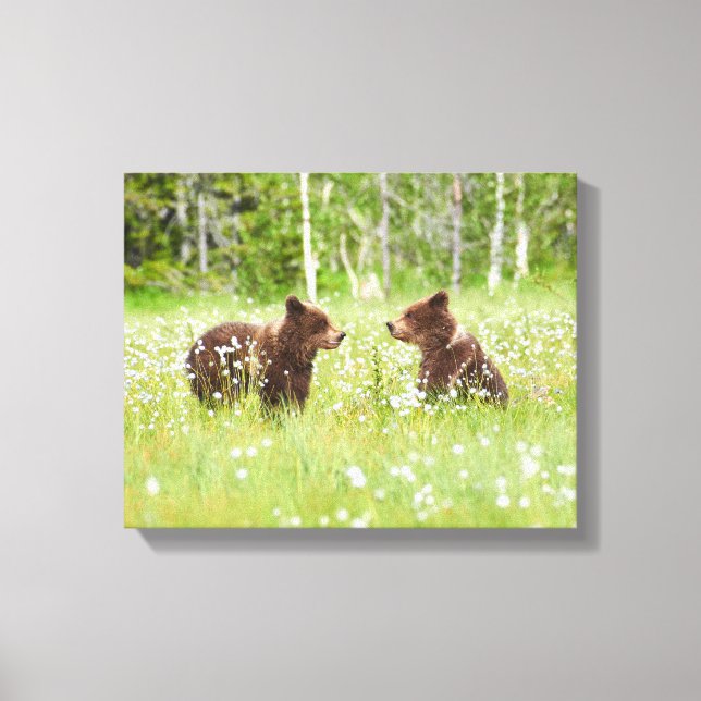 Two young brown bear friends  canvas print (Front)