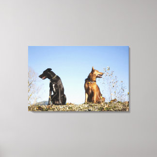 Two young dogs looking in opposite directions. canvas print
