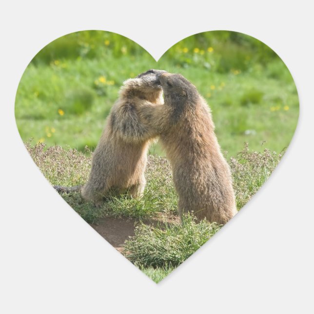 two young marmots heart sticker (Front)