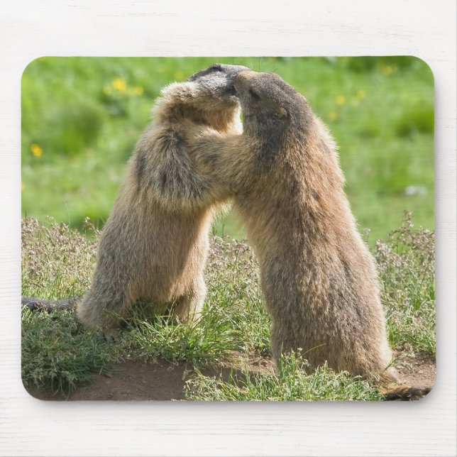 two young marmots mouse pad (Front)