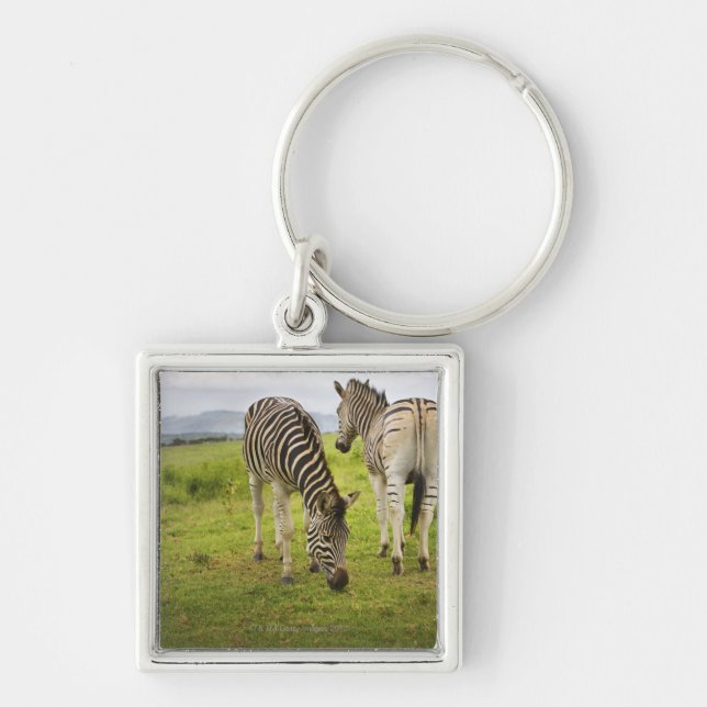 Two zebras, South Africa Key Ring (Front)