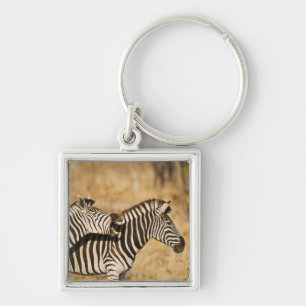 Two zebras standing in grass key ring