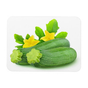 Two zucchini magnet