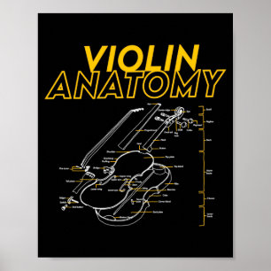 Twoset Violin Violin Anatomy Drawing Diagram Limit Poster