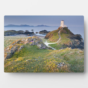 Twr Mawr Lighthouse On Llanddwyn Island Plaque