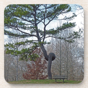 Twsited Tree Coaster
