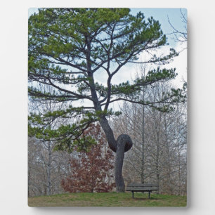 Twsited Tree Plaque
