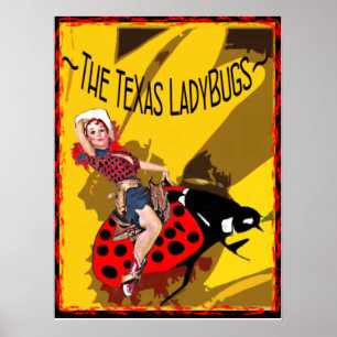 TX LadyBugs Poster with Kitty Bug