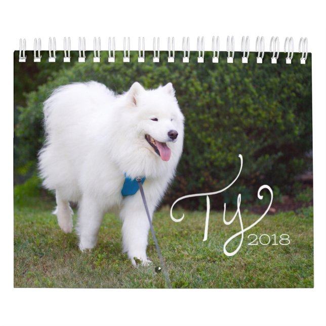 Ty 2018 calendar (Cover)