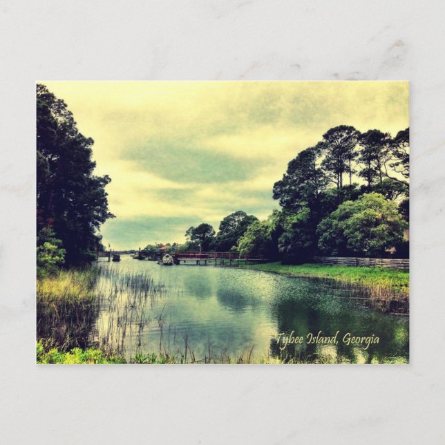 Tybee Island Back Rivers and Creeks Postcard (Front)