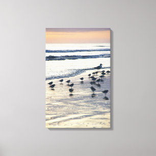 Tybee Island - Morning Chill Canvas Print