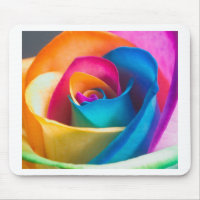 Tye Dye single rose