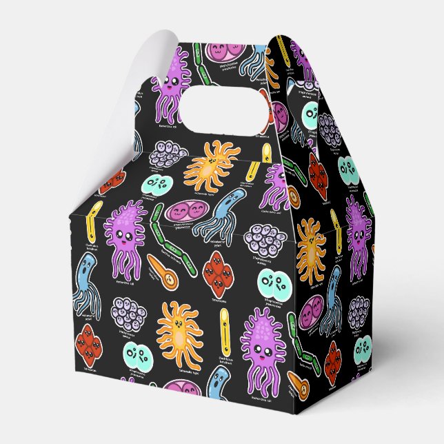 Types Of Bacteria Favour Box (Front Side)