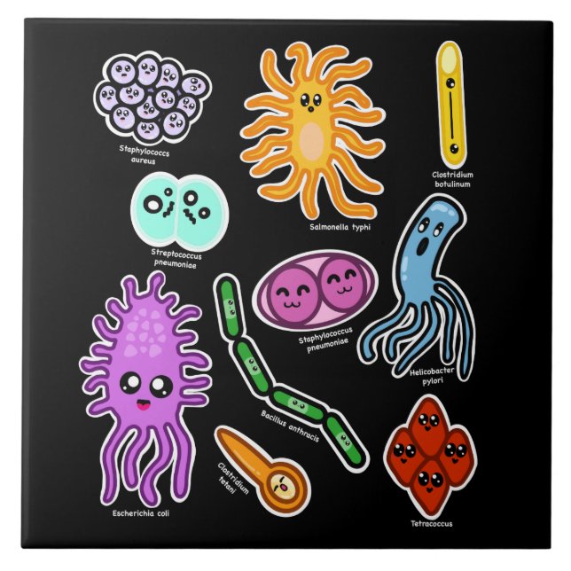 Types Of Bacteria Tile (Front)