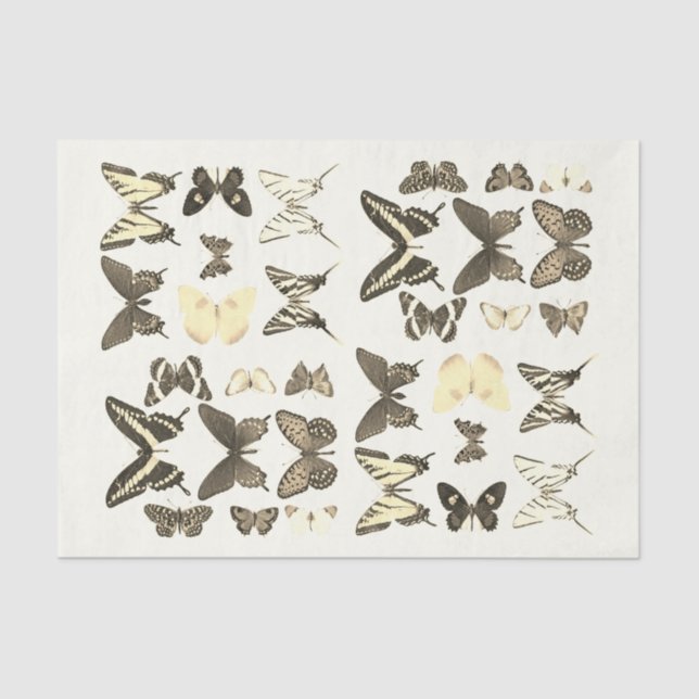 Types of Butterflies Collection Sepia Beige Tissue Paper (Front)