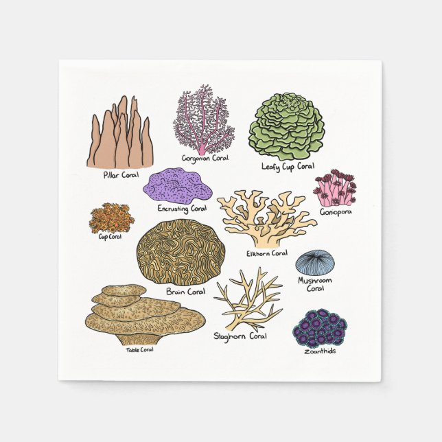 Types Of Coral Napkin (Front)