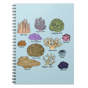 Types Of Coral Notebook