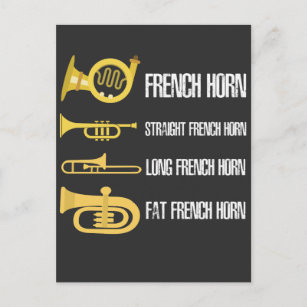 Types Of French Horn Player Brass Player Musician Postcard