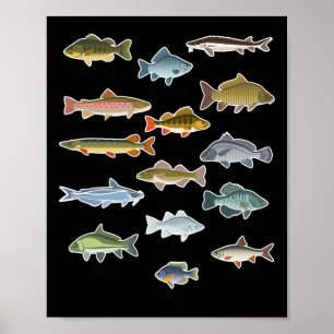 Types Of Freshwater Fish Fishing Poster