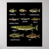 Types Of Freshwater Fish Sorts Species Fishing