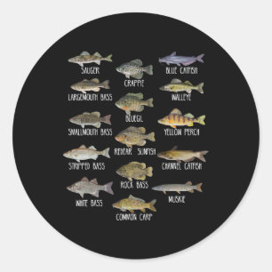 Types Of Freshwater Fish Species Biology Fishing  Classic Round Sticker