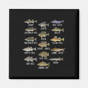 Types Of Freshwater Fish Species Biology Fishing Magnet