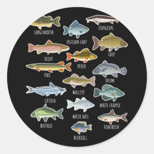 Types Of Freshwater Fish Species Fishing  Classic Round Sticker