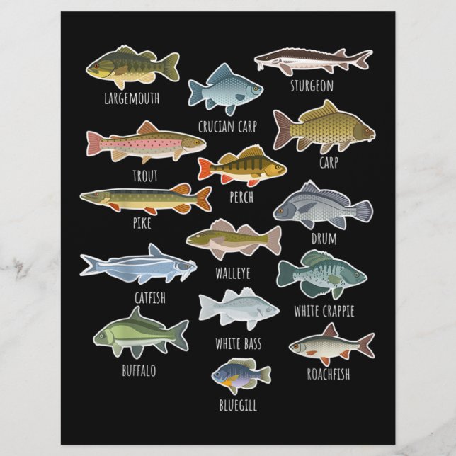 Types Of Freshwater Fish Species Fishing Custom Letterhead (Front)