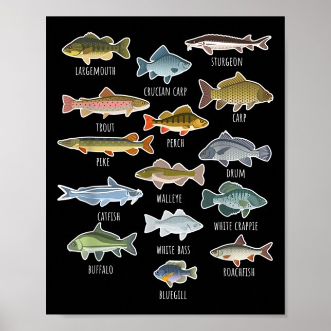 Types Of Freshwater Fish Species Fishing Poster (Front)