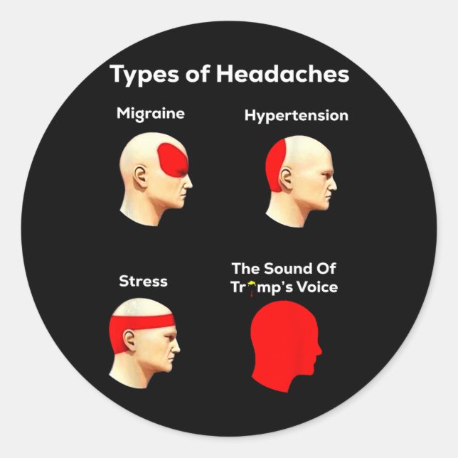 Types Of Headaches, Funny Trump  Classic Round Sticker (Front)