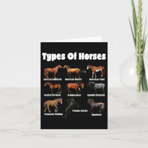 Types Of Horses Retro Horses Breeds Vintage  Card