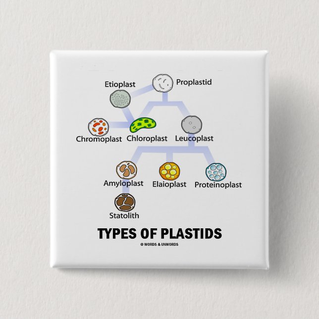 Types Of Plastids 15 Cm Square Badge (Front)
