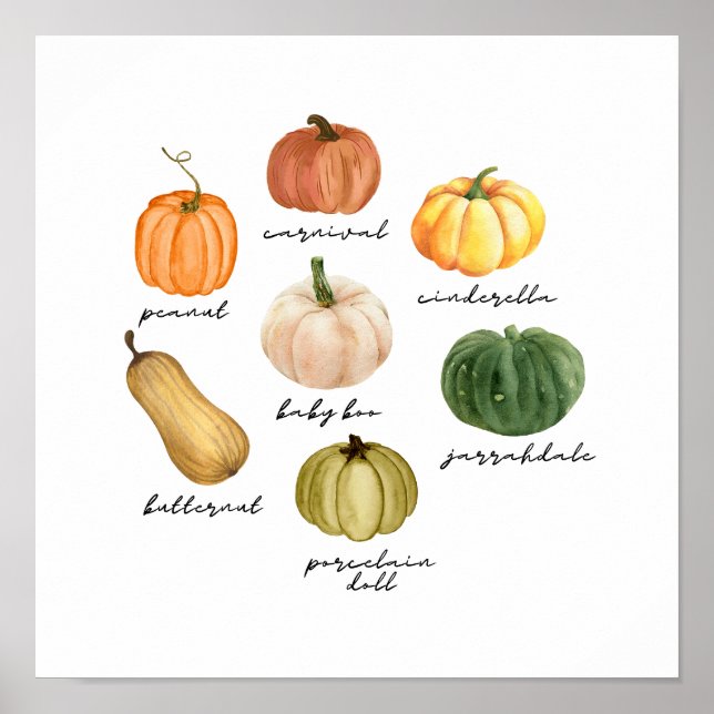 types of pumpkins poster (Front)