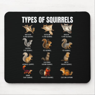 Types Of Squirrels Identification Chart Species Of Mouse Pad