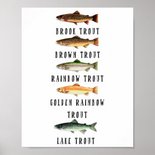Types Of Trout Fish Species Shirt Funny Trout Fish Poster