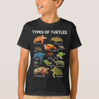 Types Of Turtles Funny Sea Turtle Animal Men Women
