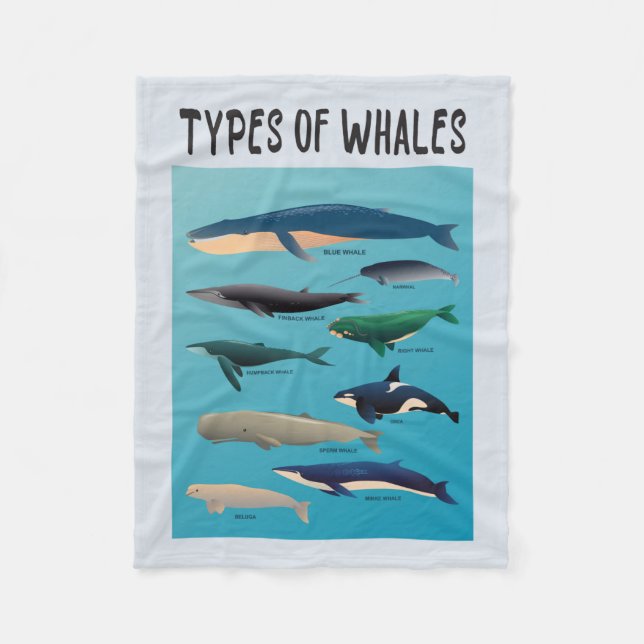 Types Of Whales Ocean Mammal Variety  Fleece Blanket (Front)