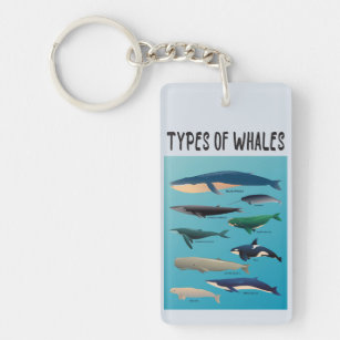Types Of Whales Ocean Mammal Variety  Key Ring