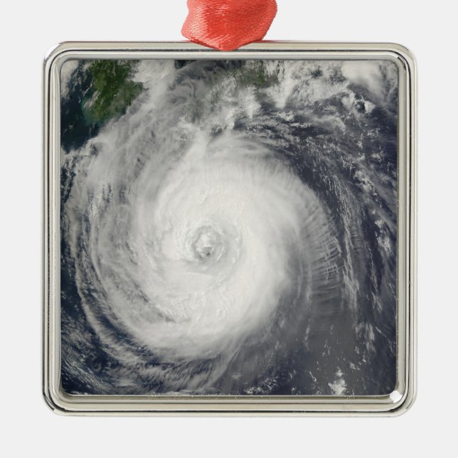 Typhoon Chaba Metal Tree Decoration (Front)